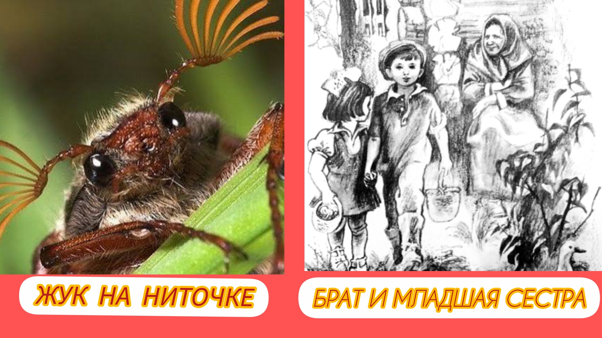 Рассказы / интересно, поучительно/ Э. Шим. смотреть онлайн