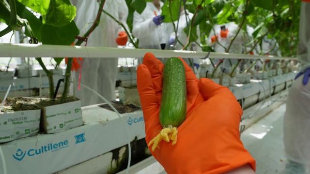 Как прошел производственный год 2024/2025