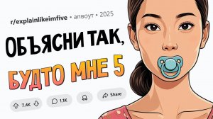 Почему мы дергаемся, когда засыпаем? / Как птицы перелетают океан? (Объясни так, будто мне 5 #5)