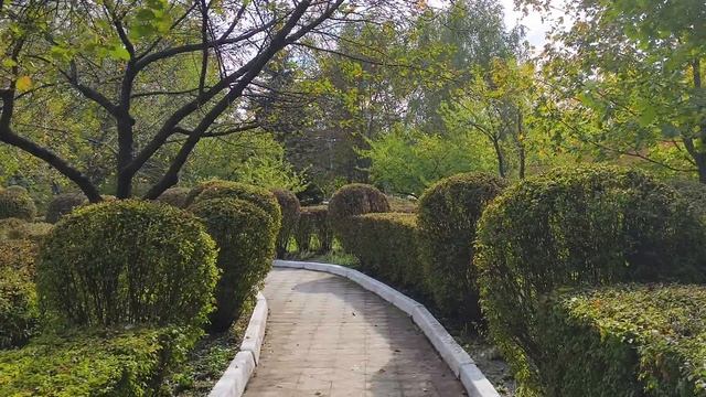 Vivo X200 FE: съёмка в 1080@60к/с на основную камеру с OIS и EIS смотреть онлайн