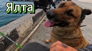 Люди купаются.Море днем и вечером.Набережная Ялты