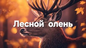 Лесной олень