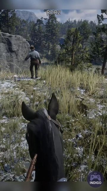 RDR2