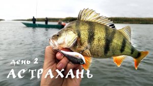 Астрахань. День 2. Окуни как Астраханские арбузы - ДИКИЕ ПОКЛЕВКИ :) | Рыбалка в Астрахани