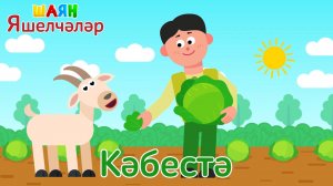 «ШАЯН Яшелчәләр» - Кәбестә | Учим овощи на татарском языке - Капуста