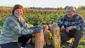 Октябрь на Кубани | Богатый урожай тыквы | Вино из винограда