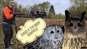 От рассвета до заката у нас всякое: проверка крысятни, копание глин, куница на дереве, сова в домике