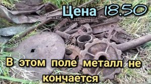 КОП МЕТАЛЛА В ПОЛЕ У ДОМА. МЕГА ПОЛЕ  КОПАЕШЬ А МЕТАЛЛ НЕ КОНЧАЕТСЯ