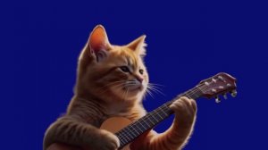 Кот играет на гитаре
