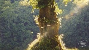 Слушать рассказ  - Одно примирение в парке, которое изменило всё - Удивительные истории из жизни