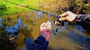 Бюджетный МОРМЫШИНГ с Dayo limerence! По цене ДЕШЕВЛЕ НЕТ!