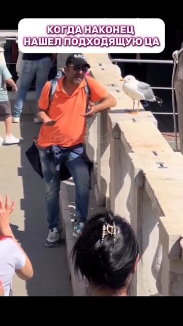 промт для определения ца в тг канале смотреть онлайн