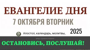 7 октября вторник Евангелие дня 2025 с толкованием #евангелие