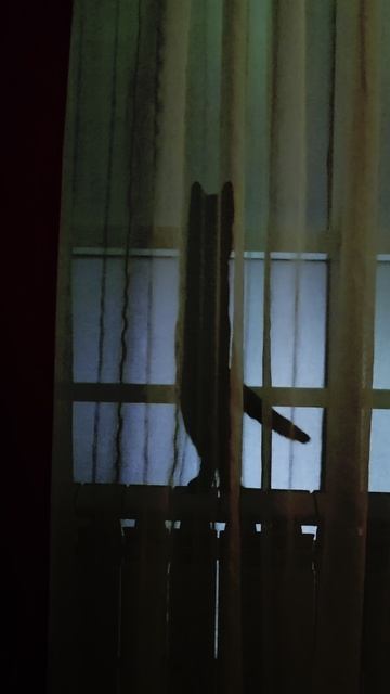 Театр теней