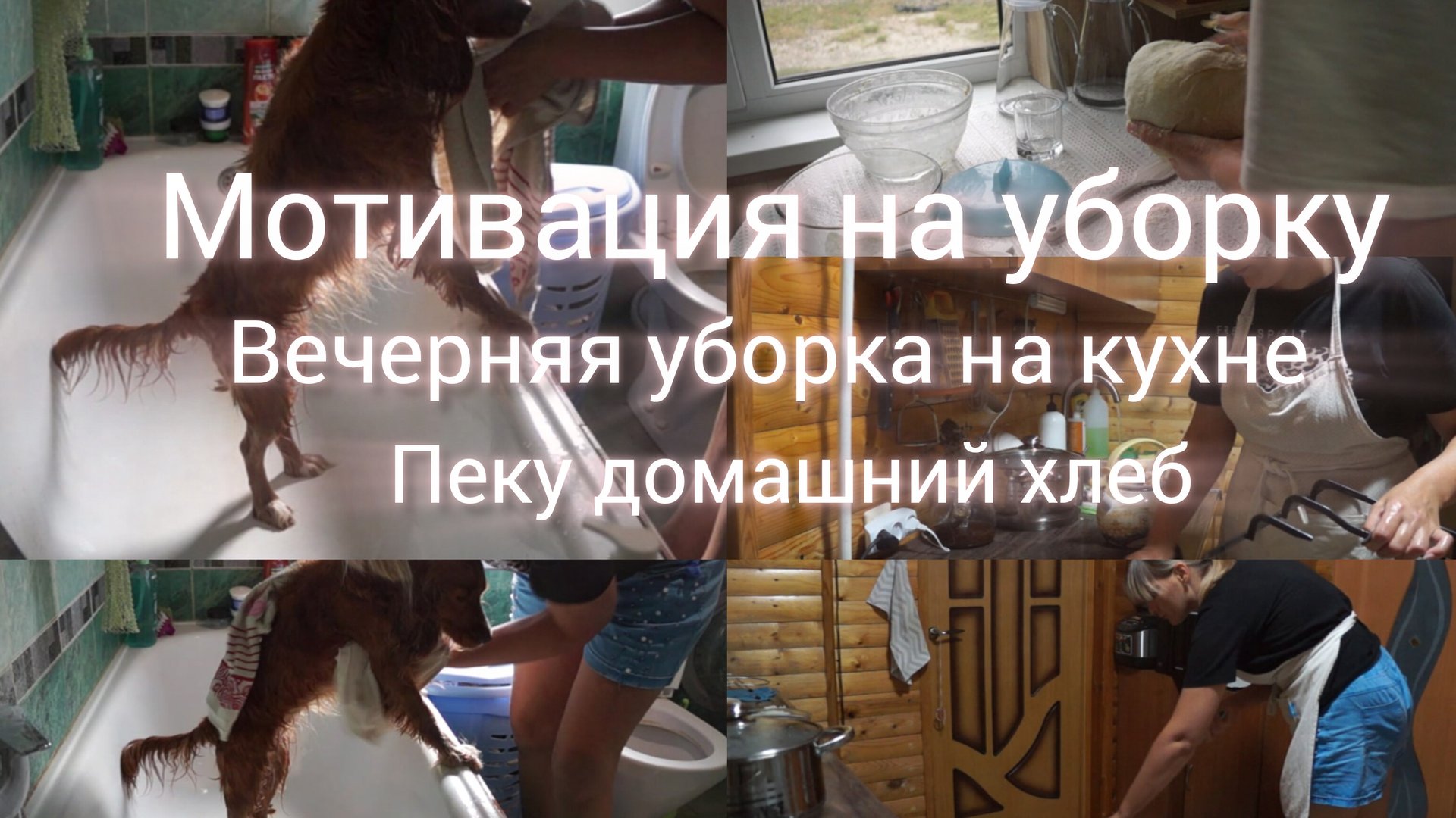 Вечерняя уборка на кухне Пеку домашний хлеб Купаю собаку Асю Мотивация на уборку