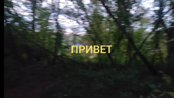 РЫБАЛКА НА ОТМЕЛИ, г. Брянск, р. Десна, 01.10.25.