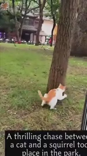 Настоящие охотники за головами!