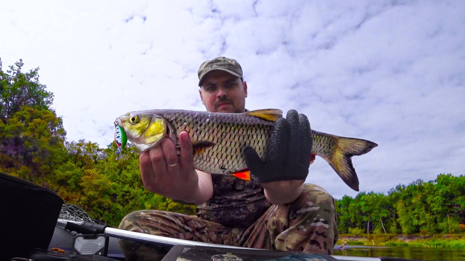 ЛОВЛЯ ГОЛОВЛЯ,ЩУКИ НА СПИННИНГ В ОКТЯБРЕ 2025