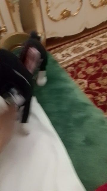 опасный трюк смотреть онлайн