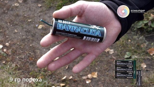 В017 Петарда Барракуда смотреть онлайн