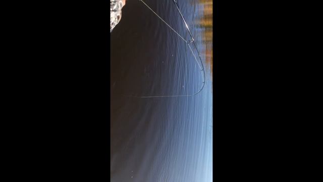 Не много рыбалки! Щучьи поклёвки радуют!