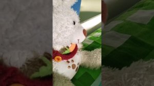 познавательная история про зайца и его друга