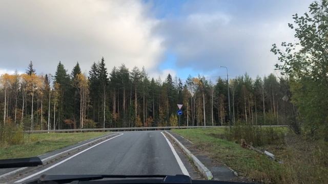 Едем в лес смотреть онлайн