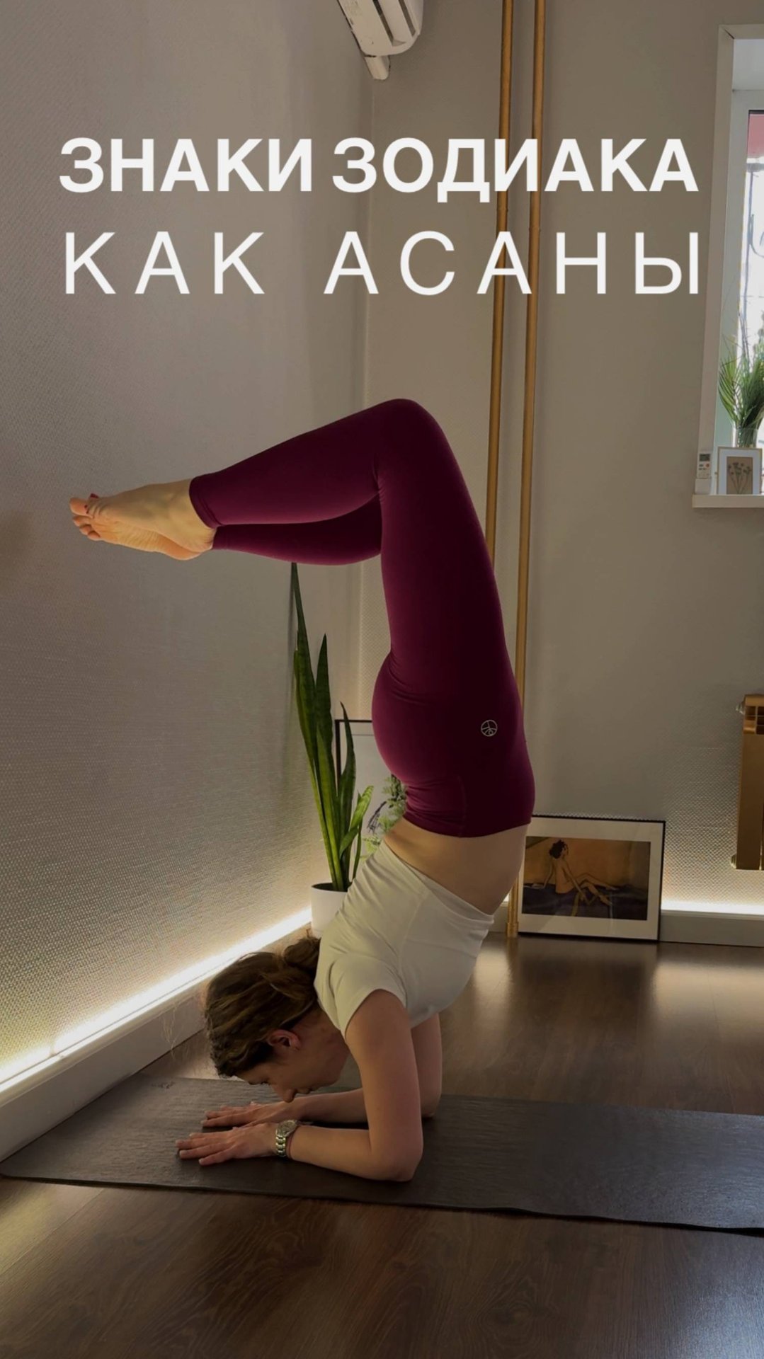 ЗНАКИ ЗОДИАКА ЕСЛИ БЫ БЫЛИ АСАНАМИ ЙОГИ #йога #yoga