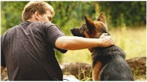 Мальчик стал ходить, переживая за друга. Слушать историю.