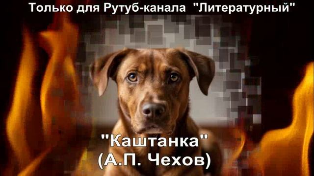 Каштанка: краткое содержание смотреть онлайн