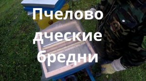 Пчеловод сошол с ума.