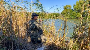 ОГО! ВОТ ЭТО ТАЩИТ! ЩУКА НА ЖИВЦА! СОМЫ, ЖЕРЕХ И КРУПНАЯ ГУСТЕРА НА ЛИЧИНКИ. САЗАН НА ЖМЫХ!