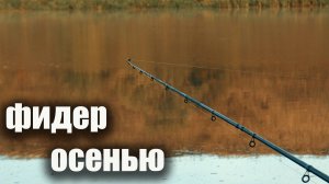 Фидер осенью: работает ли АРОМАТИКА или это ПУСТАЯ ТРАТА? Экспериментирую на рыбалке