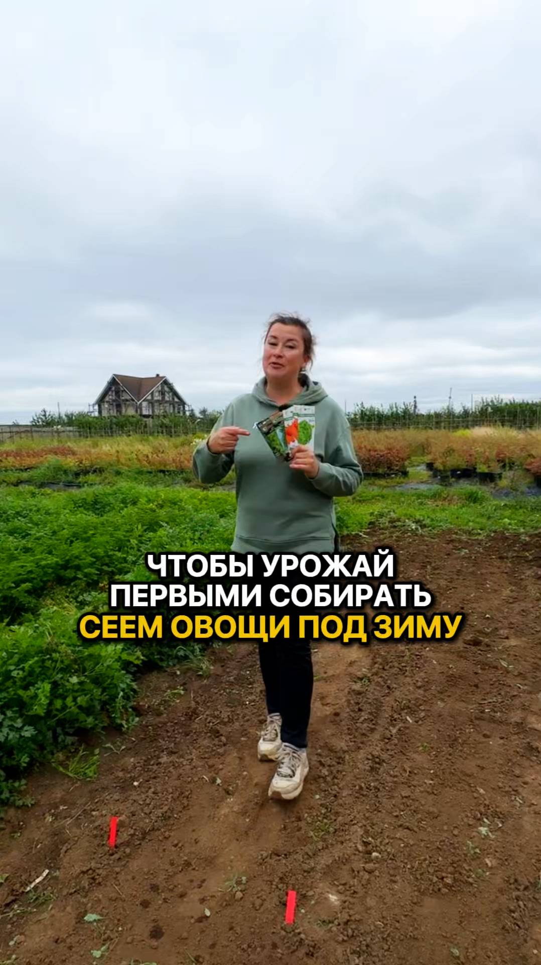 Подзимний посев! Что сеять под зиму?