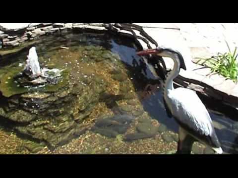 Геническ, лучший отдых ! смотреть онлайн