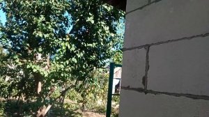 Подшив фронтонного свеса крыши подшивными элементами.