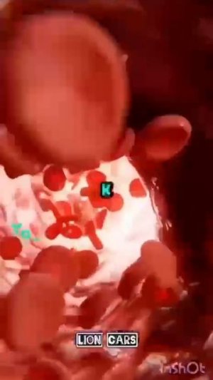 Всего два финика на ночь.