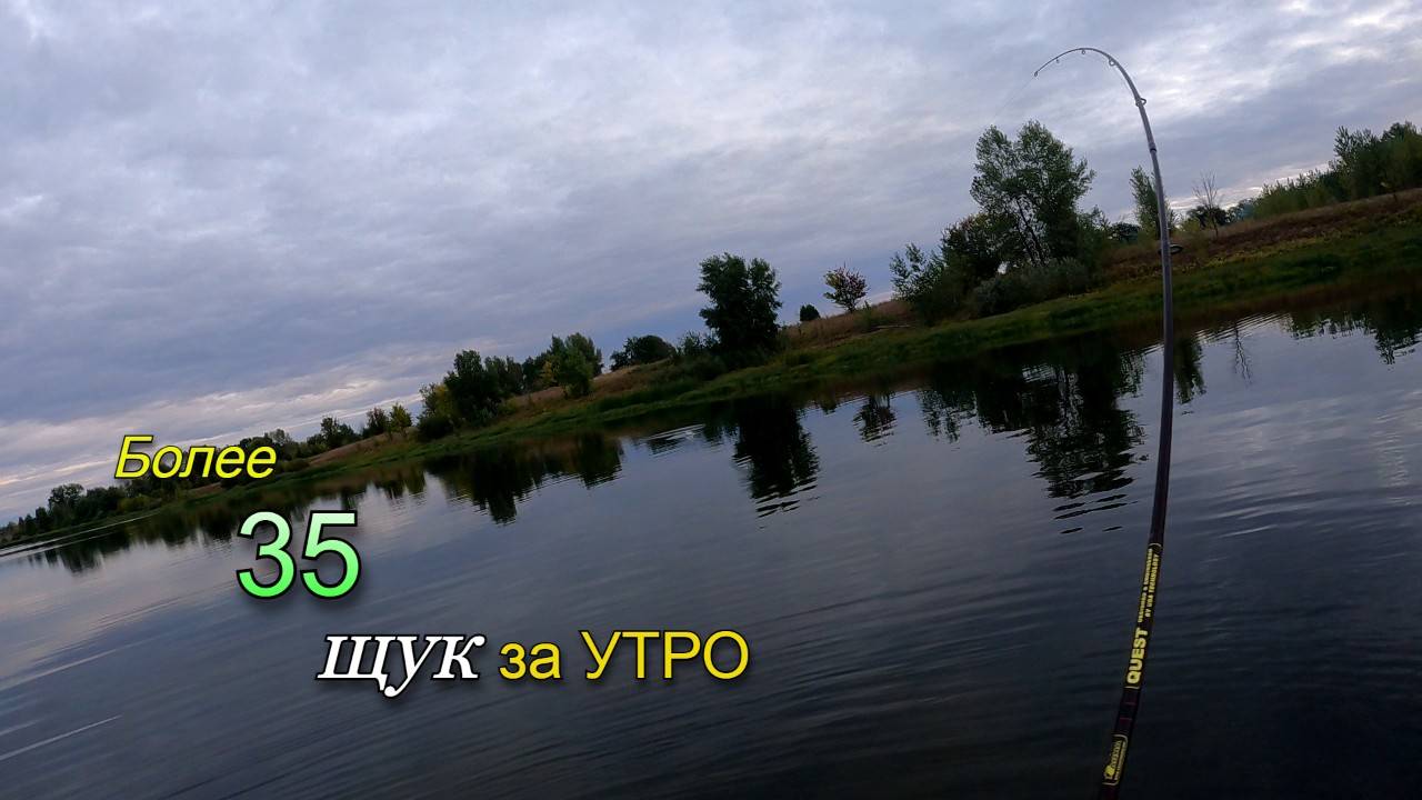 Отличная рыбалка на щуку в конце сентября. Поймал более 35 щук за утро. смотреть онлайн