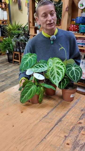 Счастье не имеет пола, особенно когда речь про растения