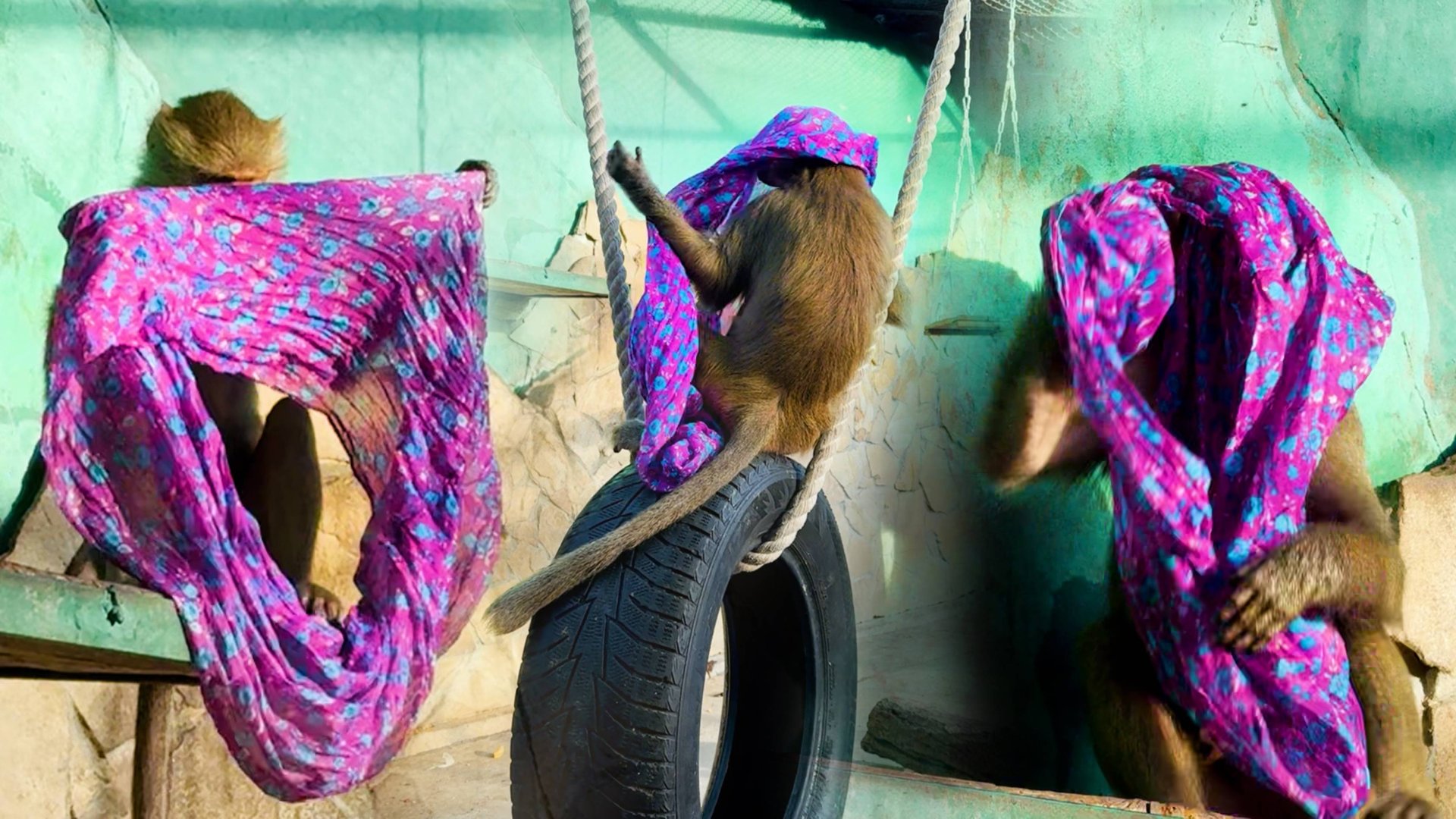 Люся к ШАРФУ БЕЖАЛА - так соскучилась! Лида аж рукой машет - пошла вон со своим паспортом, не мешай! смотреть онлайн