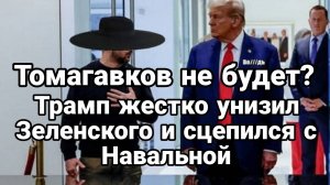 ТАМИР ШЕЙХ / СЕРГЕЙ ЕГОРИН. ТОМАГАВКОВ НЕ БУДЕТ. ТРАМП УНИЗИЛ ЗЕЛЕНСКОГО И СЦЕПИЛСЯ С НАВАЛЬНОЙ