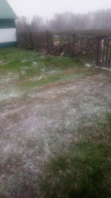 погода  уран в алтайском крае село Залесово шайтан тайфун