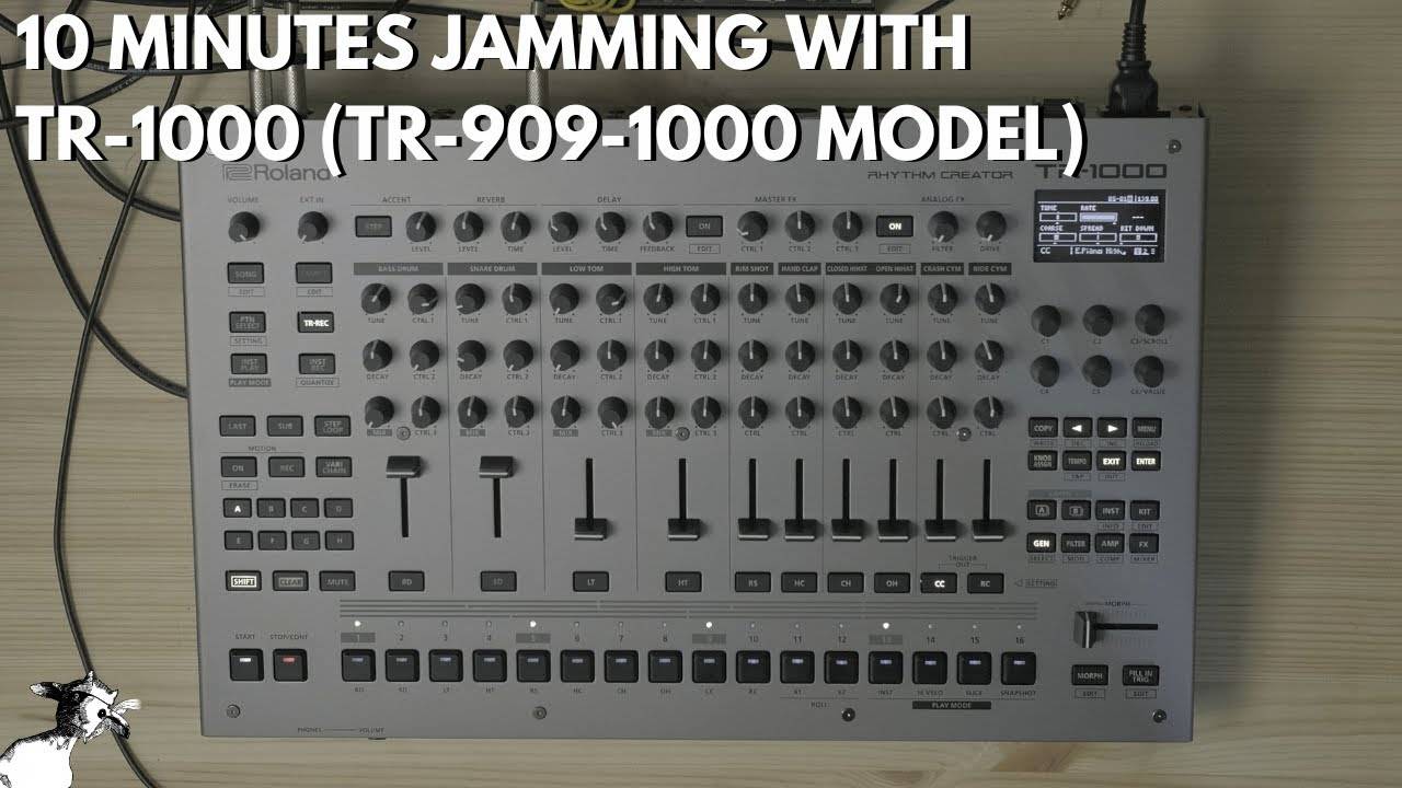 Roland TR-1000: 10 Minutes Jamming