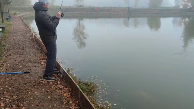 WhatsApp Video 2025-10-06 at 11.58.05 смотреть онлайн