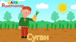 «ШАЯН Яшелчәләр» - Суган | Учим овощи на татарском языке - Лук