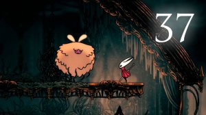 Hollow Knight: Silksong #37 | Мемориум