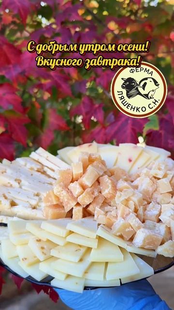 Доброе утро☀ 🌝⏰ смотреть онлайн