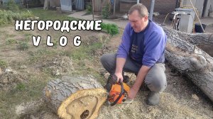 Воскресные хлопоты в селе. Нашли кукурузу. 28.09.25