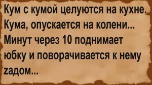 Про кума с кумой на кухне. Сборник анекдотов