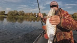 Рыбалка в начале октября. Утренняя раздача.